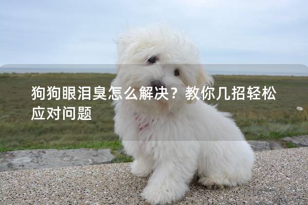 狗狗眼淚臭怎么解決？教你幾招輕松應(yīng)對問題