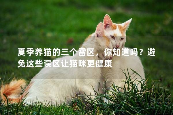 夏季養(yǎng)貓的三個雷區(qū)，你知道嗎？避免這些誤區(qū)讓貓咪更健康