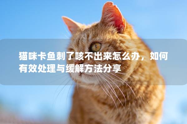 貓咪卡魚刺了咳不出來怎么辦，如何有效處理與緩解方法分享