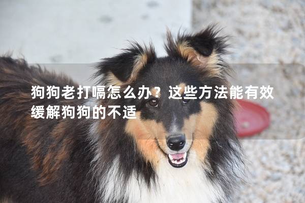狗狗老打嗝怎么辦？這些方法能有效緩解狗狗的不適