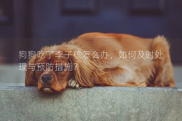 狗狗吃了李子核怎么辦，如何及時處理與預(yù)防措施？