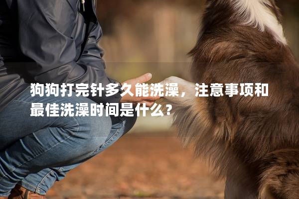 狗狗打完針多久能洗澡，注意事項和最佳洗澡時間是什么？