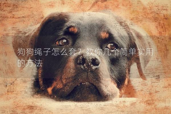 狗狗繩子怎么套?教你幾個(gè)簡單實(shí)用的方法 狗狗繩子怎么套?教你幾個(gè)簡單實(shí)用的方法