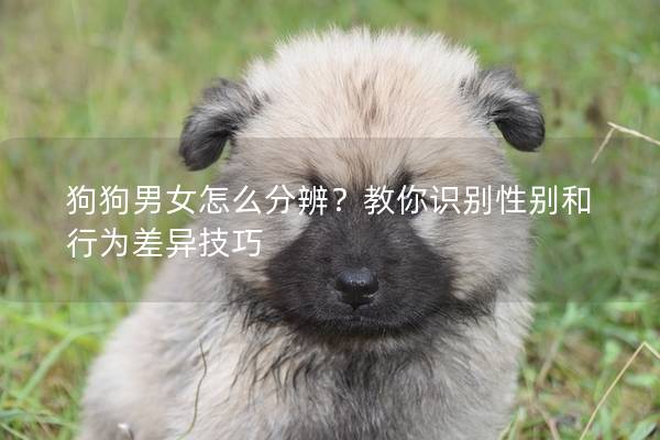 狗狗男女怎么分辨？教你識別性別和行為差異技巧