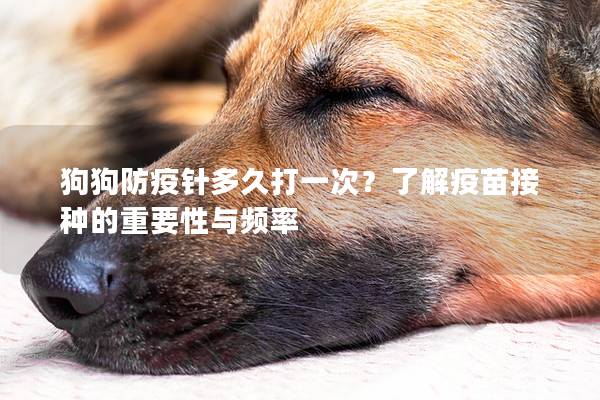 狗狗防疫針多久打一次？了解疫苗接種的重要性與頻率