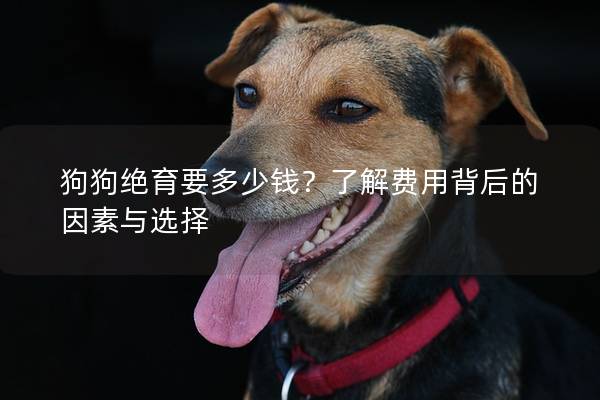 狗狗絕育要多少錢？了解費用背后的因素與選擇