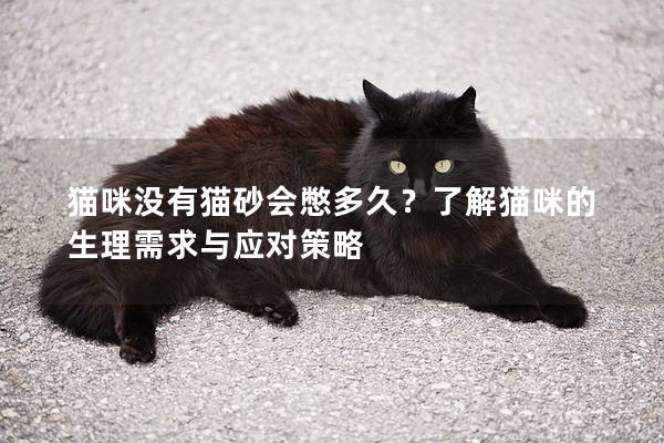 貓咪沒有貓砂會憋多久？了解貓咪的生理需求與應(yīng)對策略