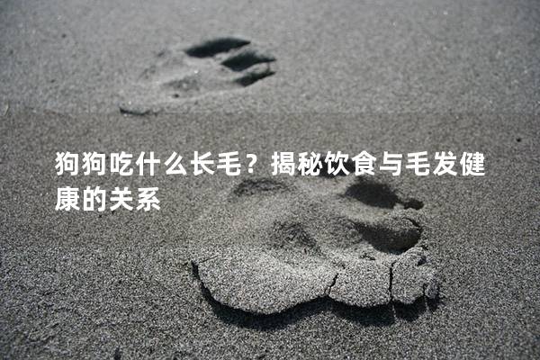 狗狗吃什么長毛?揭秘飲食與毛發健康的關系 狗狗吃什么長毛?揭秘飲食與毛發健康的關系