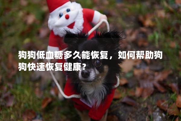 狗狗低血糖多久能恢復，如何幫助狗狗快速恢復健康？