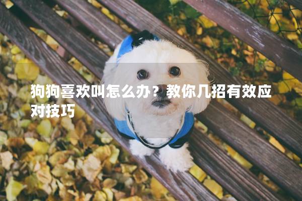 狗狗喜歡叫怎么辦？教你幾招有效應(yīng)對(duì)技巧