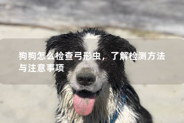 狗狗怎么檢查弓形蟲(chóng)，了解檢測(cè)方法與注意事項(xiàng)