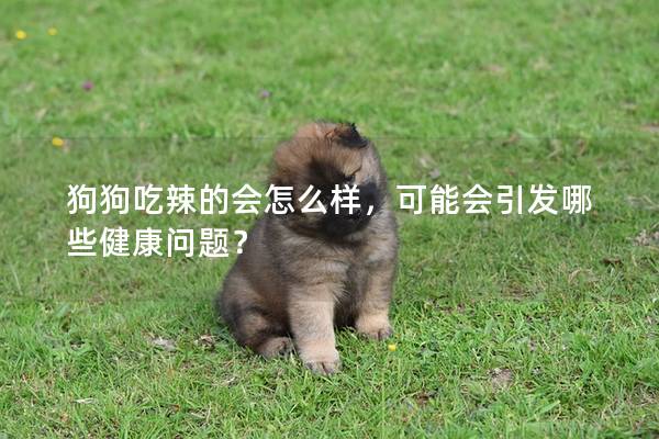 狗狗吃辣的會怎么樣，可能會引發哪些健康問題？
