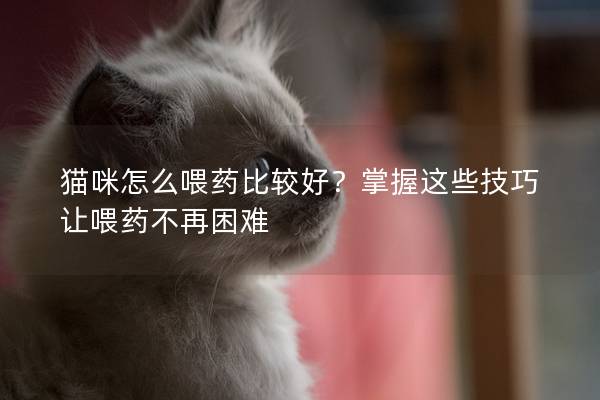 貓咪怎么喂藥比較好？掌握這些技巧讓喂藥不再困難