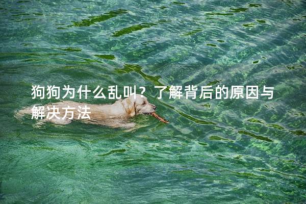 狗狗為什么亂叫？了解背后的原因與解決方法