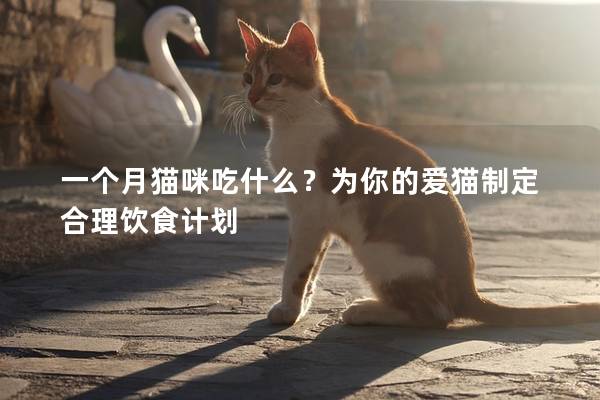 一個月貓咪吃什么？為你的愛貓制定合理飲食計劃