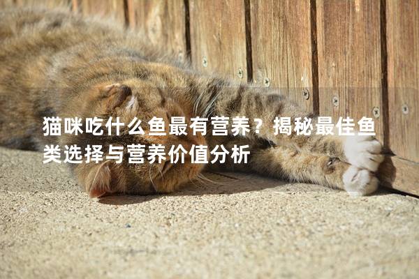 貓咪吃什么魚最有營養？揭秘最佳魚類選擇與營養價值分析