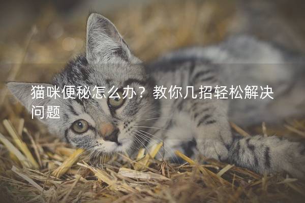 貓咪便秘怎么辦？教你幾招輕松解決問題
