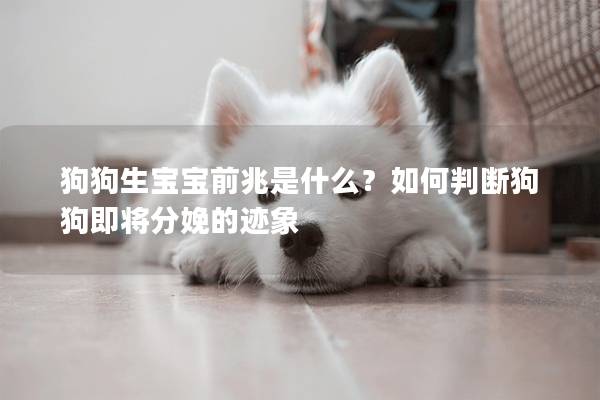 狗狗生寶寶前兆是什么？如何判斷狗狗即將分娩的跡象