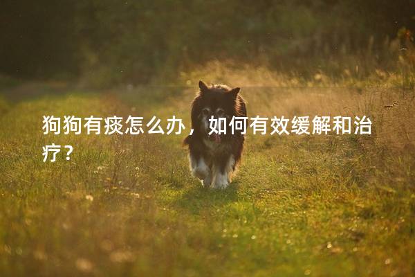 狗狗有痰怎么辦，如何有效緩解和治療？
