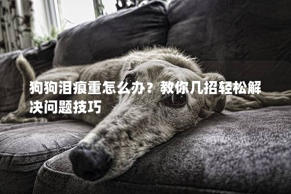 狗狗淚痕重怎么辦？教你幾招輕松解決問題技巧