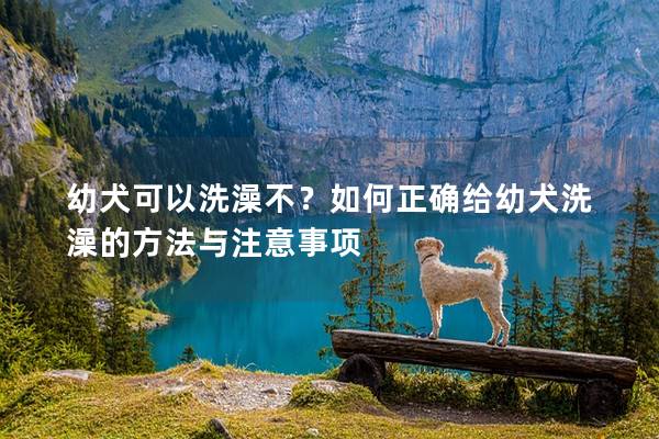 幼犬可以洗澡不？如何正確給幼犬洗澡的方法與注意事項