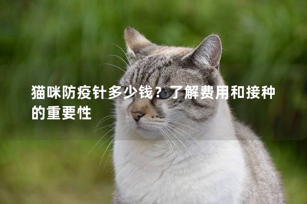 貓咪防疫針多少錢？了解費(fèi)用和接種的重要性