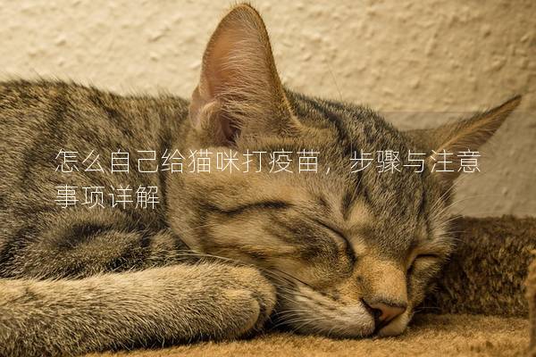 怎么自己給貓咪打疫苗，步驟與注意事項(xiàng)詳解