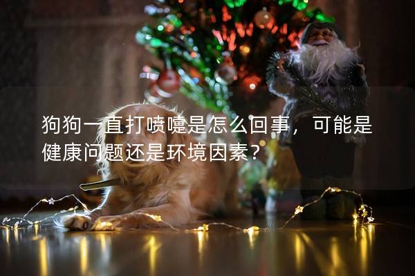 狗狗一直打噴嚏是怎么回事，可能是健康問題還是環境因素？