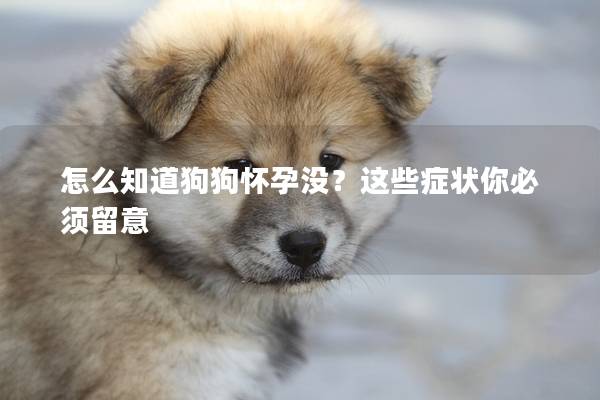 怎么知道狗狗懷孕沒？這些癥狀你必須留意