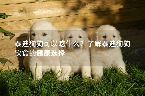 泰迪狗狗可以吃什么?了解泰迪狗狗飲食的健康選擇 泰迪狗狗可以吃什么?了解泰迪狗狗飲食的健康選擇