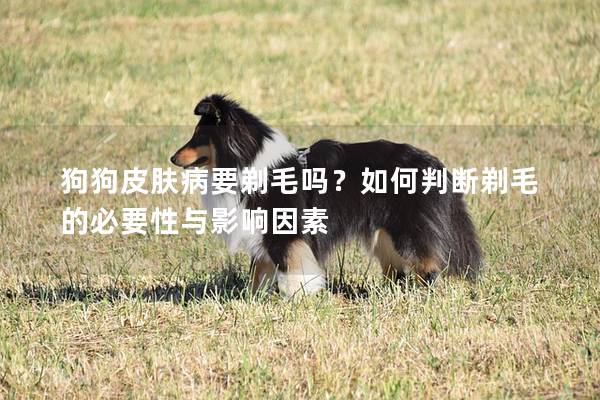 狗狗皮膚病要剃毛嗎？如何判斷剃毛的必要性與影響因素