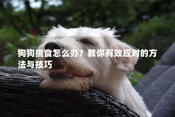 狗狗挑食怎么辦?教你有效應(yīng)對的方法與技巧 狗狗挑食怎么辦?教你有效應(yīng)對的方法與技巧