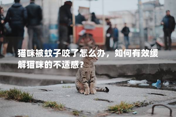 貓咪被蚊子咬了怎么辦，如何有效緩解貓咪的不適感？