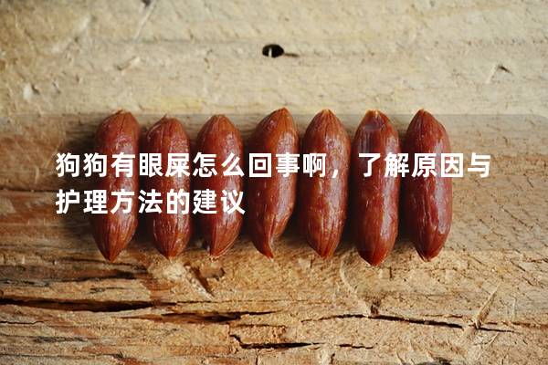 狗狗有眼屎怎么回事啊,了解原因與護理方法的建議 狗狗有眼屎怎么回事啊,了解原因與護理方法的建議
