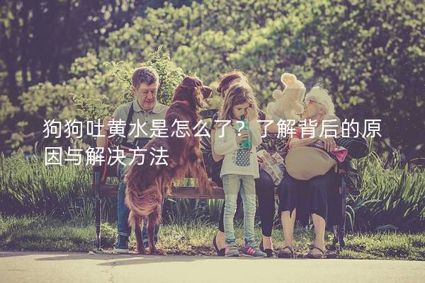 狗狗吐黃水是怎么了？了解背后的原因與解決方法