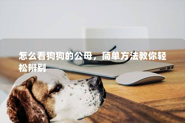 怎么看狗狗的公母，簡單方法教你輕松辨別