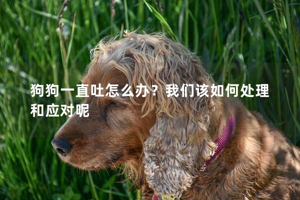 狗狗一直吐怎么辦?我們?cè)撊绾翁幚砗蛻?yīng)對(duì)呢 狗狗一直吐怎么辦?我們?cè)撊绾翁幚砗蛻?yīng)對(duì)呢