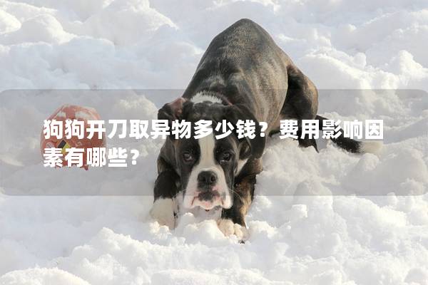 狗狗開刀取異物多少錢？費用影響因素有哪些？
