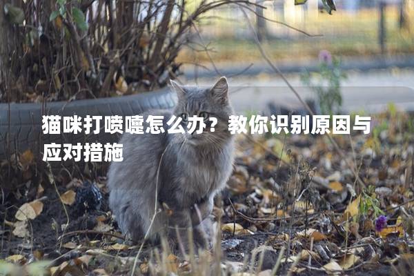 貓咪打噴嚏怎么辦？教你識別原因與應對措施