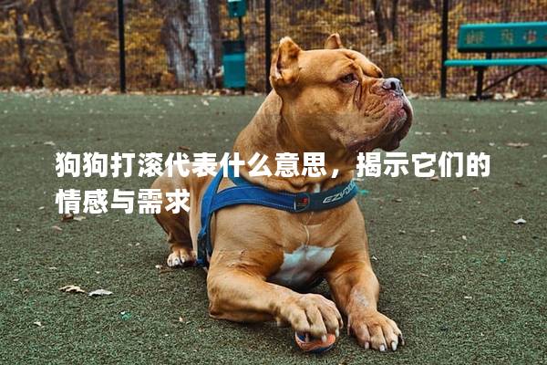 狗狗打滾代表什么意思，揭示它們的情感與需求