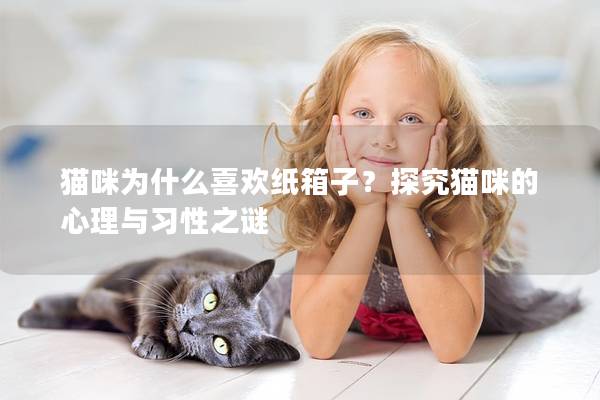 貓咪為什么喜歡紙箱子？探究貓咪的心理與習性之謎