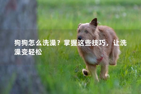狗狗怎么洗澡？掌握這些技巧，讓洗澡變輕松
