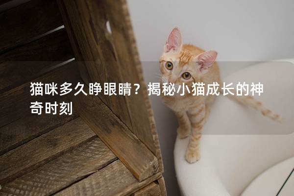 貓咪多久睜眼睛？揭秘小貓成長的神奇時刻