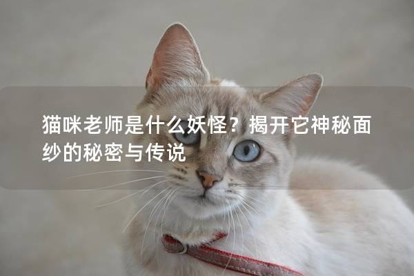 貓咪老師是什么妖怪？揭開它神秘面紗的秘密與傳說