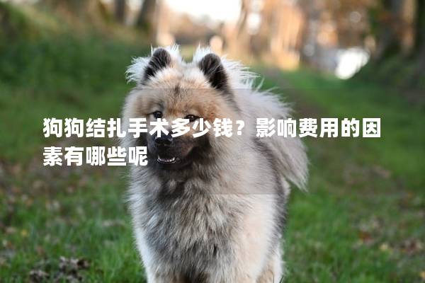 狗狗結扎手術多少錢？影響費用的因素有哪些呢