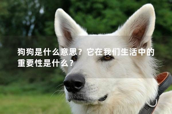 狗狗是什么意思?它在我們生活中的重要性是什么? 狗狗是什么意思?它在我們生活中的重要性是什么?