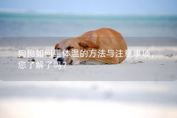狗狗如何量體溫的方法與注意事項，您了解了嗎？
