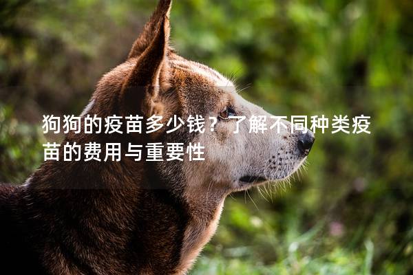狗狗的疫苗多少錢？了解不同種類疫苗的費用與重要性