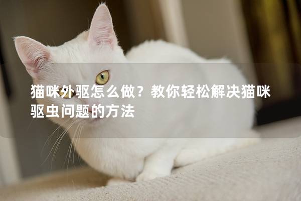 貓咪外驅怎么做？教你輕松解決貓咪驅蟲問題的方法