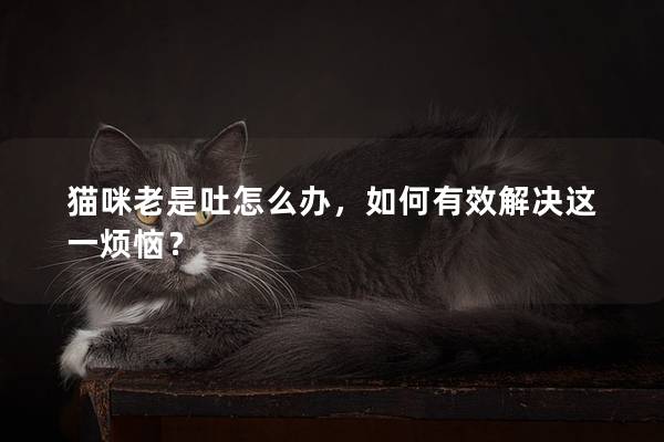 貓咪老是吐怎么辦，如何有效解決這一煩惱？